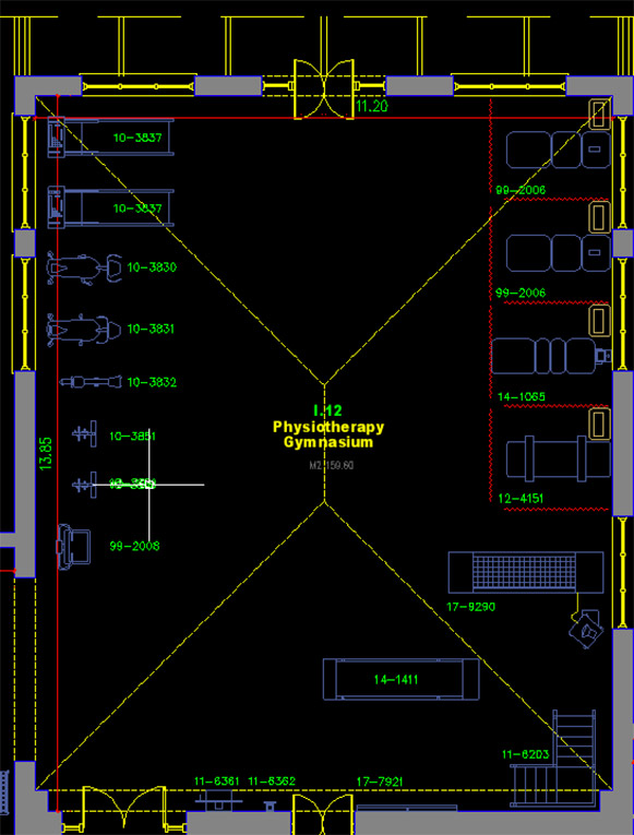 platistomo_cad_3